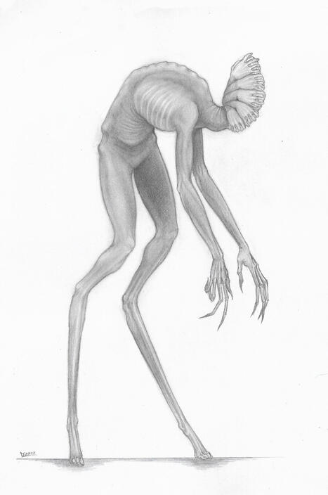 Unnamed