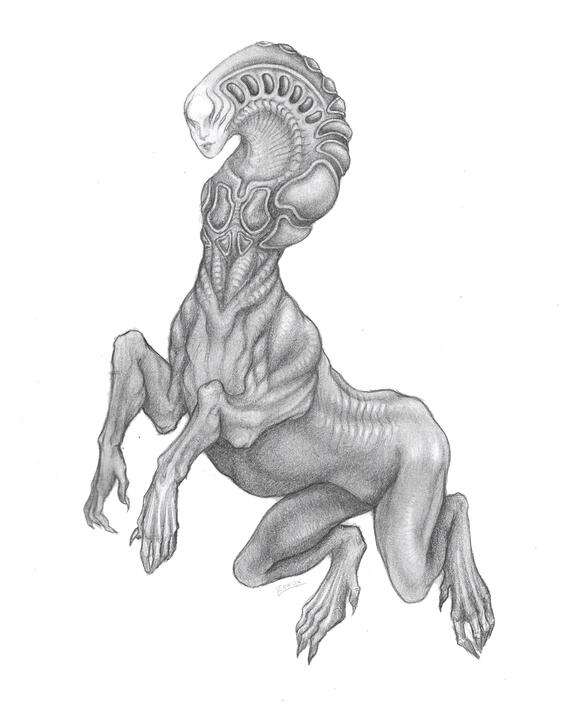 Harbinger
